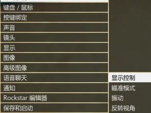 GTAOL瞄准模式设置详解及最佳配对方式指南