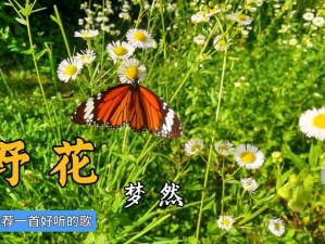 野花直播视频免费高清，使用简单吗？为何？怎样实现？