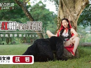 天美传媒视频网站入口【如何找到天美传媒视频网站入口？】