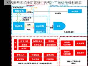 XD5黑帮系统全面解析：内部分工与运作机制详解