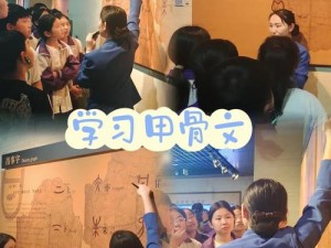 《文字的力量》第十二关攻略：深度解析图文挑战之奥秘