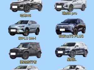 国产一级 SUV 大全包含的信息太多了，请问你想了解什么呢？