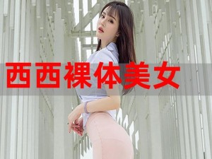 西西人体大胆 dd 高清：为何如此吸引人？如何获取？