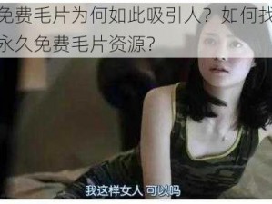 永久免费毛片为何如此吸引人？如何找到真正的永久免费毛片资源？