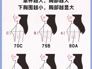 B 大与小的区别图片：为什么会有差异？如何区分？