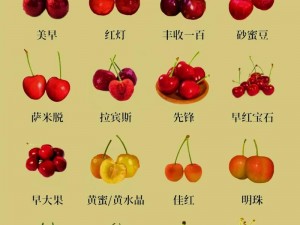 樱桃 cherry 官网有哪些产品？如何选择适合自己的樱桃 cherry 产品？