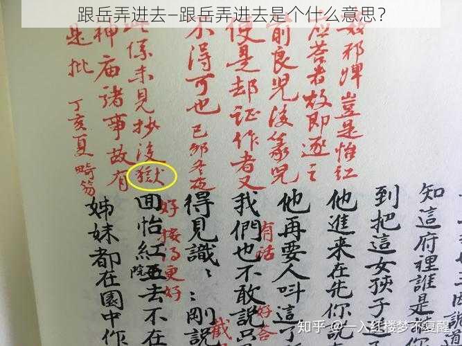 跟岳弄进去—跟岳弄进去是个什么意思？