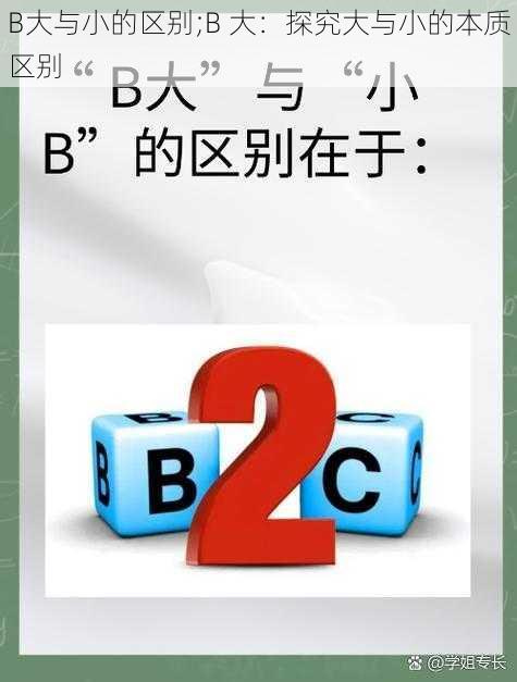 B大与小的区别;B 大：探究大与小的本质区别