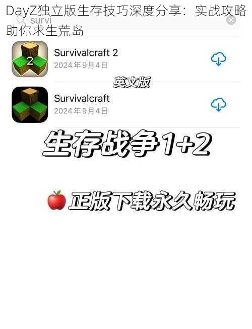 DayZ独立版生存技巧深度分享：实战攻略助你求生荒岛