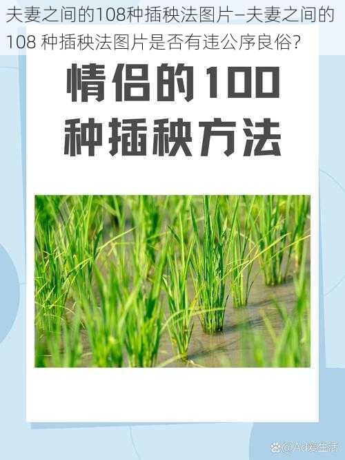 夫妻之间的108种插秧法图片—夫妻之间的 108 种插秧法图片是否有违公序良俗？