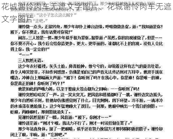 花城谢怜肉车无遮文字图片、花城谢怜肉车无遮文字图片