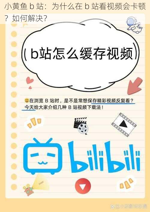 小黄鱼 b 站：为什么在 b 站看视频会卡顿？如何解决？