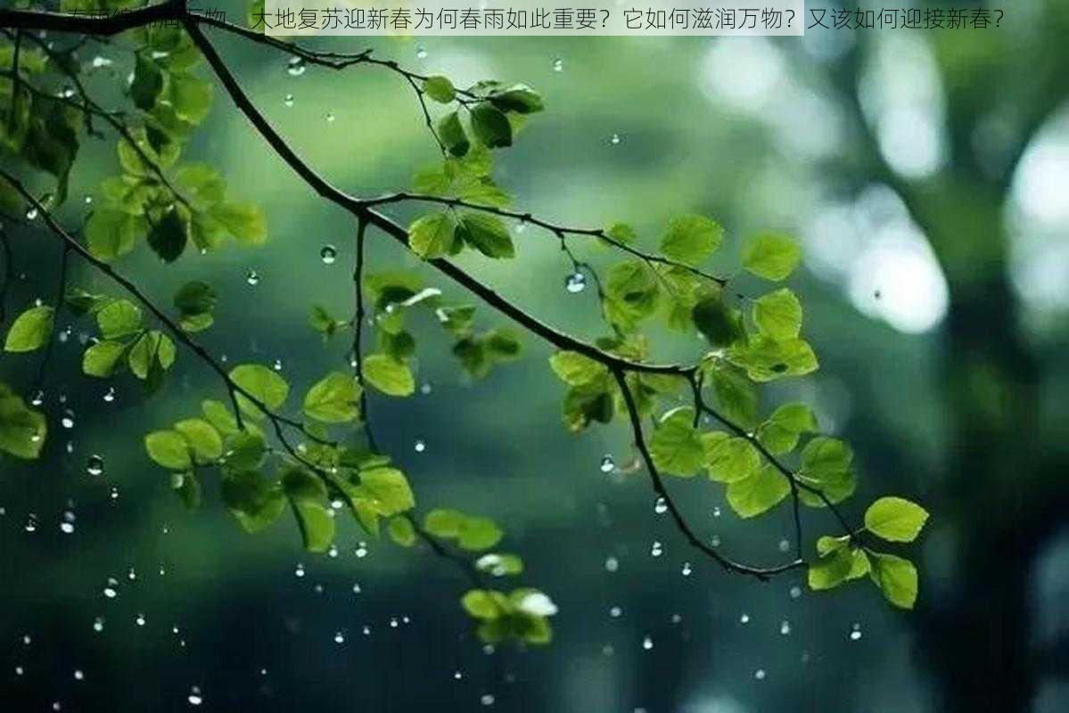 春雨绵绵润万物，大地复苏迎新春为何春雨如此重要？它如何滋润万物？又该如何迎接新春？