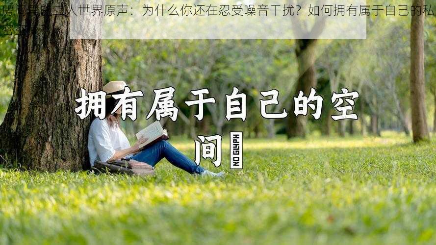 房间里的二人世界原声：为什么你还在忍受噪音干扰？如何拥有属于自己的私密空间？