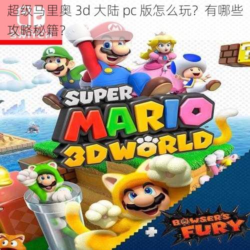 超级马里奥 3d 大陆 pc 版怎么玩？有哪些攻略秘籍？