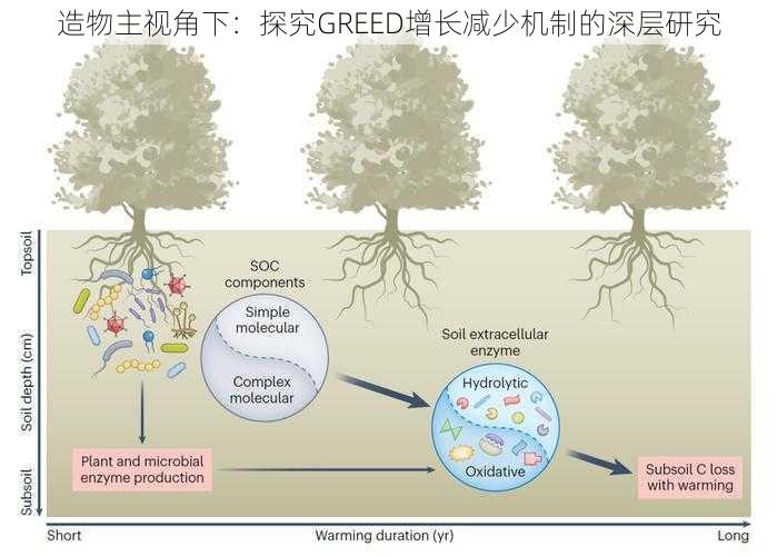 造物主视角下：探究GREED增长减少机制的深层研究