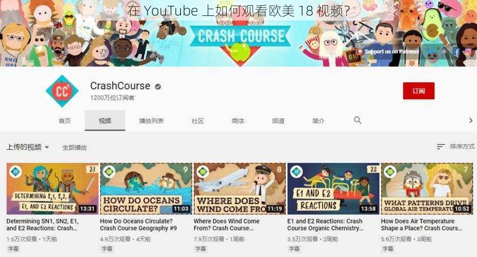 在 YouTube 上如何观看欧美 18 视频？