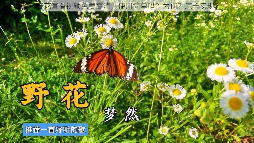 野花直播视频免费高清，使用简单吗？为何？怎样实现？