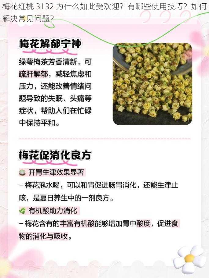 梅花红桃 3132 为什么如此受欢迎？有哪些使用技巧？如何解决常见问题？