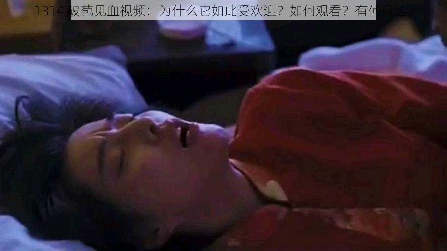 1314 破苞见血视频：为什么它如此受欢迎？如何观看？有何风险？