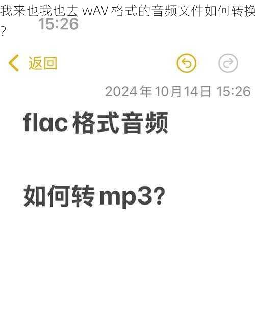 我来也我也去 wAV 格式的音频文件如何转换？