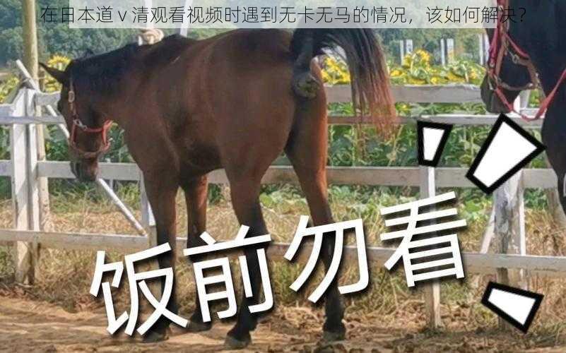 在日本道 v 清观看视频时遇到无卡无马的情况，该如何解决？