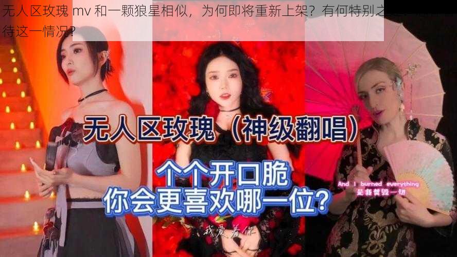 无人区玫瑰 mv 和一颗狼星相似，为何即将重新上架？有何特别之处？怎样看待这一情况？