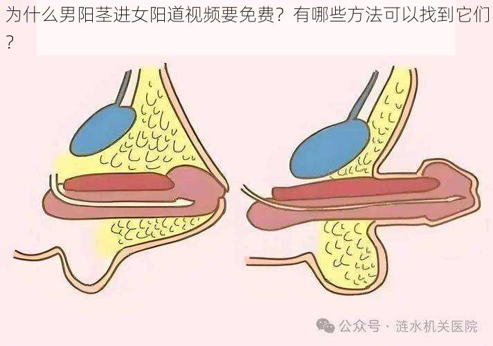 为什么男阳茎进女阳道视频要免费？有哪些方法可以找到它们？