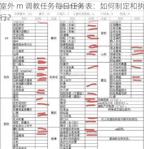 室外 m 调教任务每日任务表：如何制定和执行？