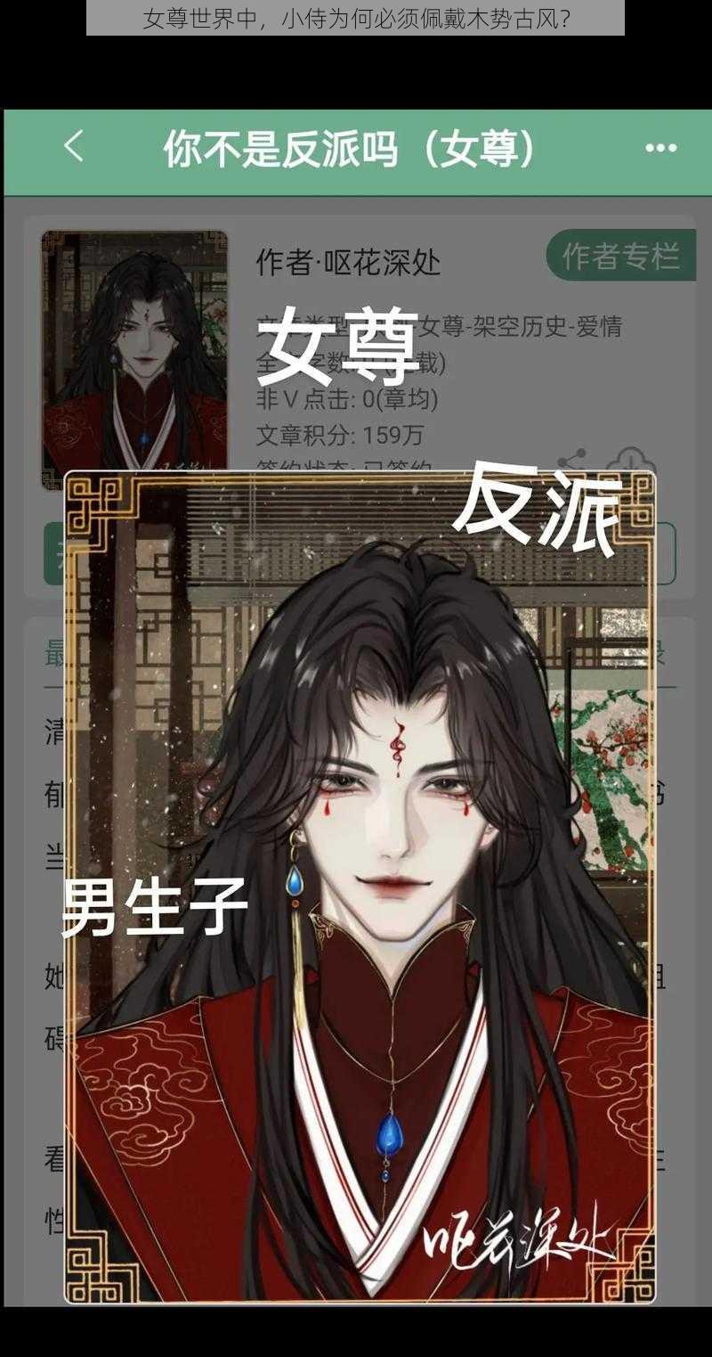 女尊世界中，小侍为何必须佩戴木势古风？