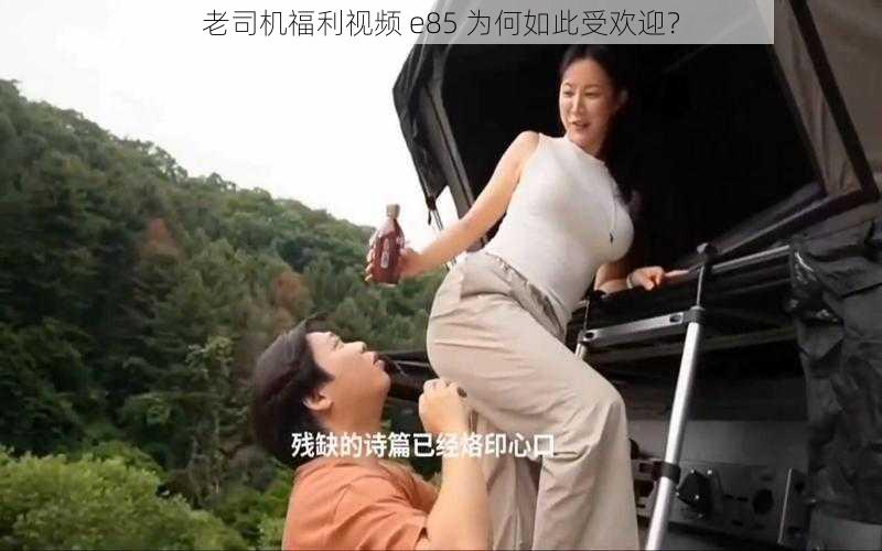 老司机福利视频 e85 为何如此受欢迎？