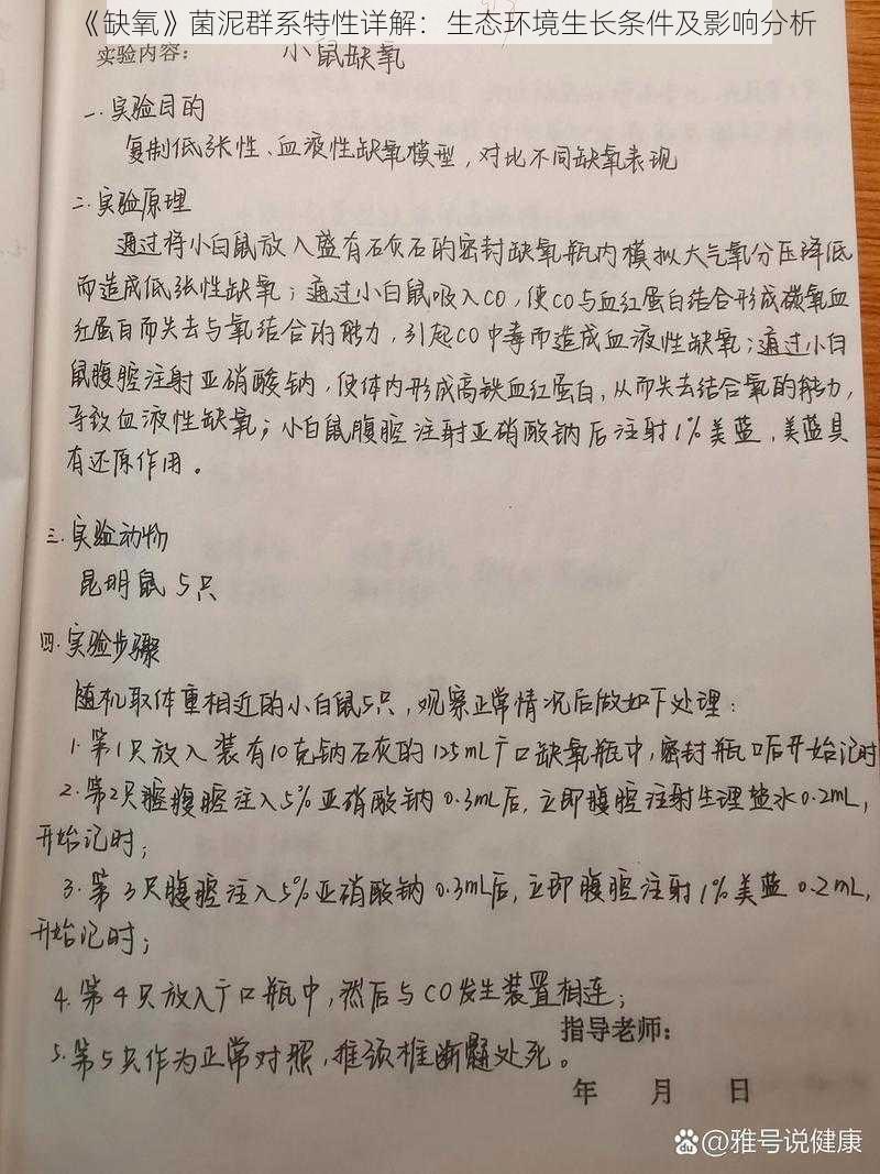 《缺氧》菌泥群系特性详解：生态环境生长条件及影响分析