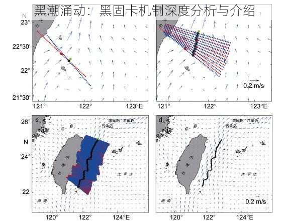 黑潮涌动：黑固卡机制深度分析与介绍